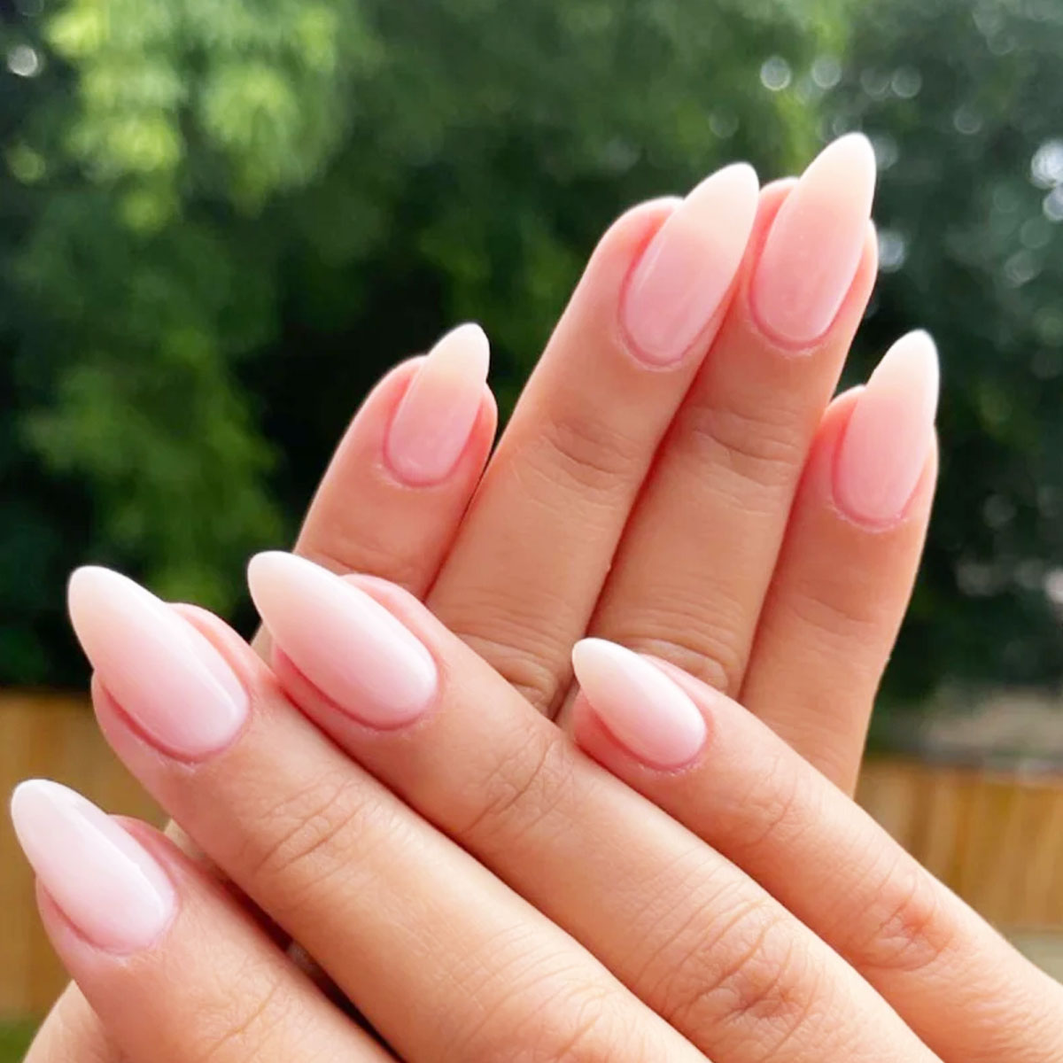 T Nails & Spa 
